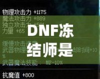 DNF凍結(jié)師是靠力量還是攻擊？解析職業(yè)選擇與屬性加點