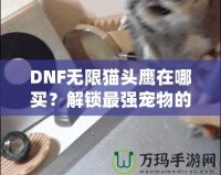 DNF無限貓頭鷹在哪買？解鎖最強寵物的購買途徑與技巧！