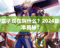 DNF盒子現(xiàn)在叫什么？2024最新版本揭秘！