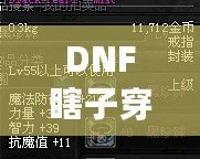 DNF瞎子穿什么甲？讓你秒變無敵的裝備選擇解析！