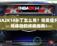 NBA2K14補丁怎么用？完美提升游戲體驗的終極指南！