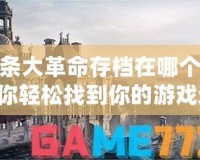 刺客信條大革命存檔在哪個(gè)文件夾？讓你輕松找到你的游戲進(jìn)度！