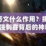 劫的符文什么作用？揭開LOL中最強(qiáng)刺客背后的神秘力量