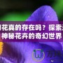 夢(mèng)幻花真的存在嗎？探索這朵神秘花卉的奇幻世界