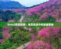 Dota2鳳凰聯(lián)賽：電競熱潮中的璀璨明珠