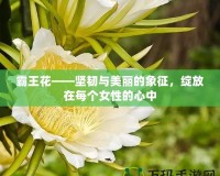 霸王花——堅韌與美麗的象征，綻放在每個女性的心中