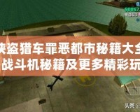 俠盜獵車罪惡都市秘籍大全：戰(zhàn)斗機(jī)秘籍及更多精彩玩法揭秘