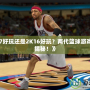 《2K17好玩還是2K16好玩？兩代籃球游戲?qū)Ρ却蠼颐?！?></div>
								<div   id=