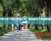 CF客戶端下載太慢怎么辦？輕松解決下載速度慢的煩惱！