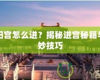 殘陽宮怎么進？揭秘進宮秘籍與絕妙技巧