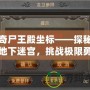 傳奇尸王殿坐標——探秘神秘地下迷宮，挑戰(zhàn)極限勇者之地