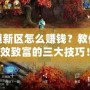 問(wèn)道新區(qū)怎么賺錢？教你高效致富的三大技巧！