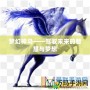 夢(mèng)幻神馬——駕馭未來(lái)的智慧與夢(mèng)想