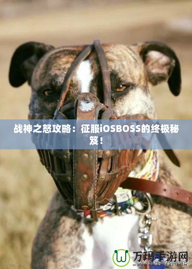 戰(zhàn)神之怒攻略：征服iOSBOSS的終極秘笈！