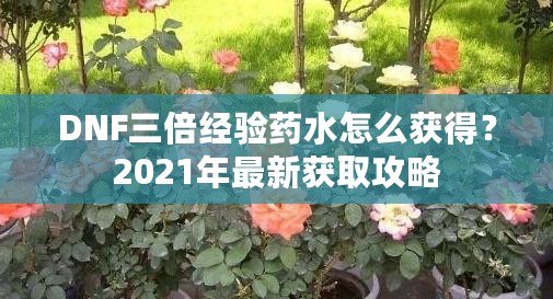 DNF三倍經(jīng)驗藥水怎么獲得？2021年最新獲取攻略