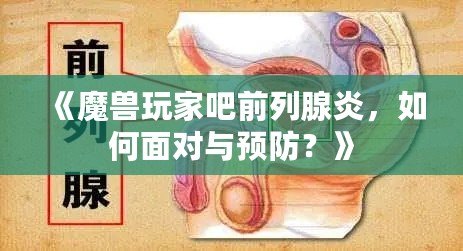 《魔獸玩家吧前列腺炎，如何面對與預(yù)防？》