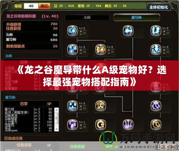 《龍之谷魔導帶什么A級寵物好？選擇最強寵物搭配指南》