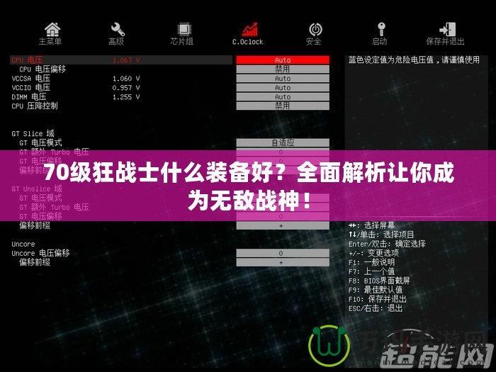 70級(jí)狂戰(zhàn)士什么裝備好？全面解析讓你成為無(wú)敵戰(zhàn)神！