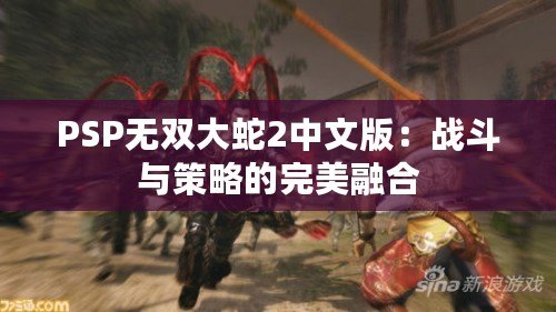 PSP無雙大蛇2中文版：戰(zhàn)斗與策略的完美融合