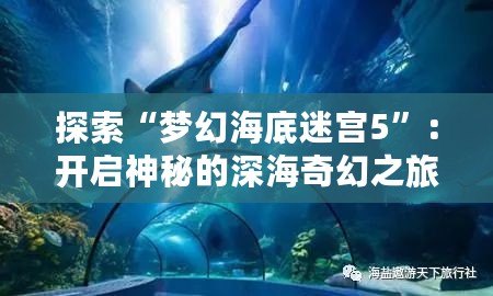 探索“夢(mèng)幻海底迷宮5”：開啟神秘的深海奇幻之旅！