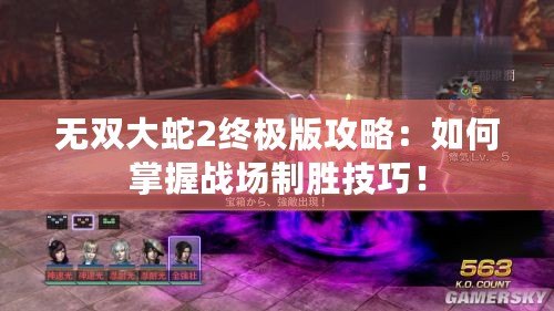 無雙大蛇2終極版攻略：如何掌握戰(zhàn)場制勝技巧！