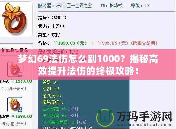 夢幻69法傷怎么到1000？揭秘高效提升法傷的終極攻略！