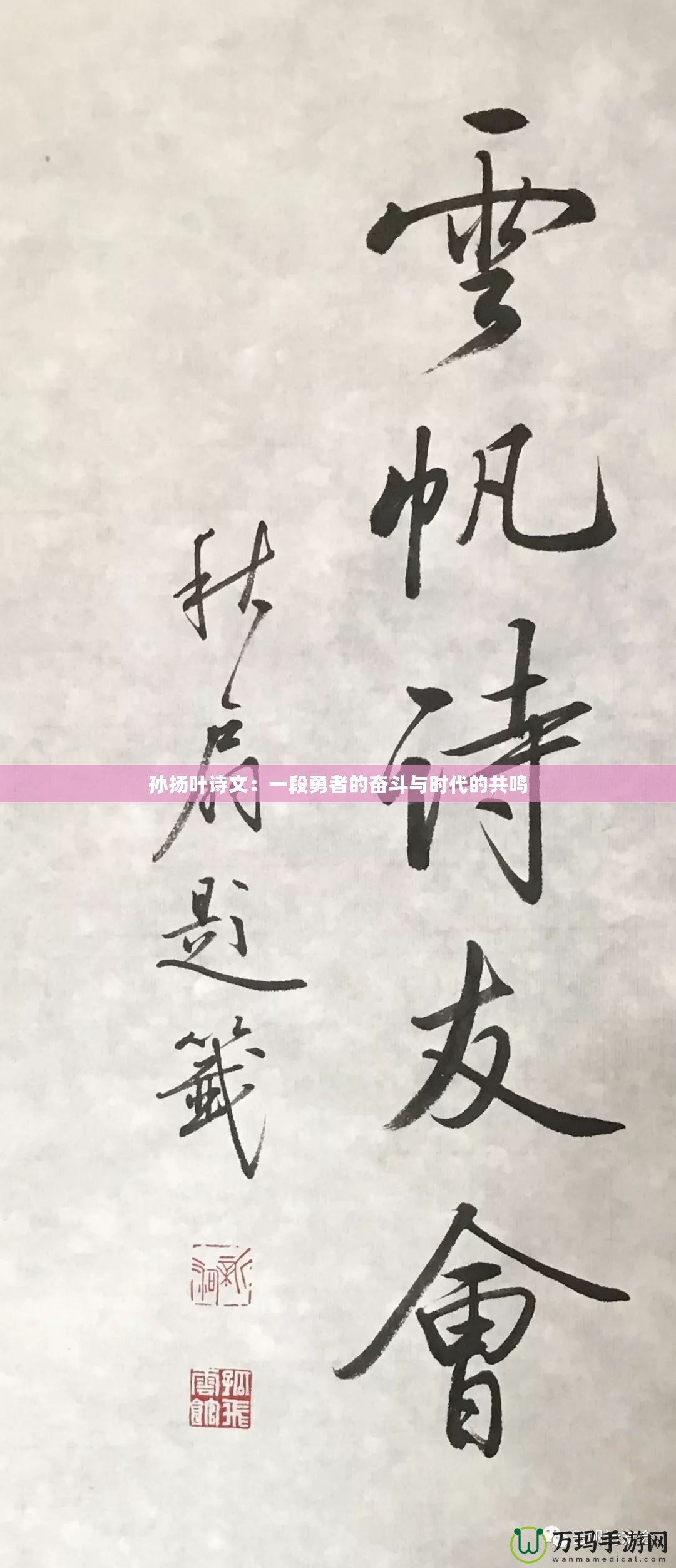 孫揚(yáng)葉詩(shī)文：一段勇者的奮斗與時(shí)代的共鳴