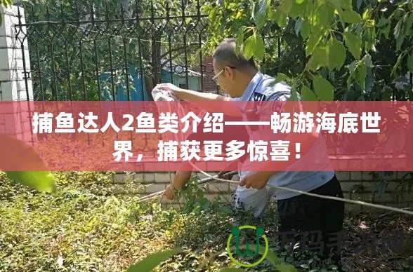 捕魚達人2魚類介紹——暢游海底世界，捕獲更多驚喜！