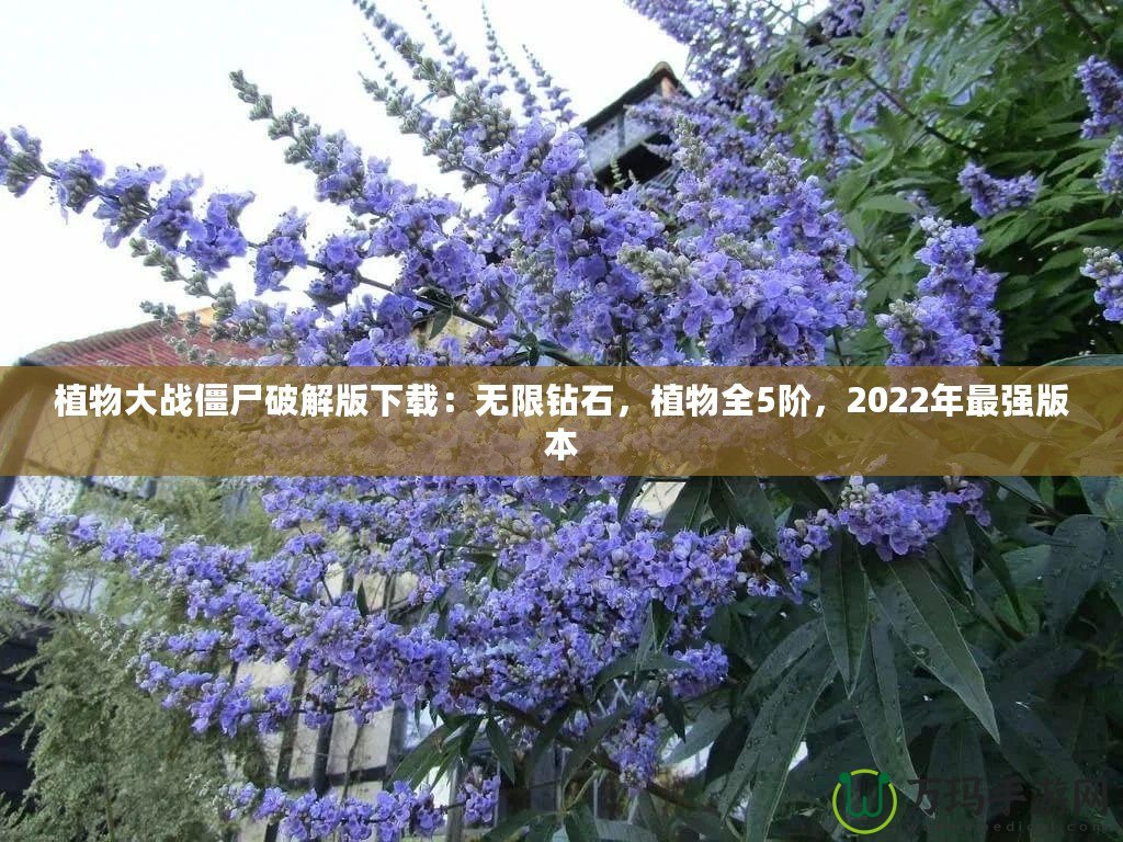 植物大戰(zhàn)僵尸破解版下載：無限鉆石，植物全5階，2022年最強版本