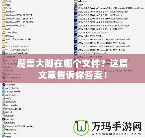 魔獸大腳在哪個文件？這篇文章告訴你答案！