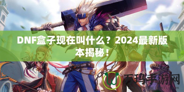 DNF盒子現(xiàn)在叫什么？2024最新版本揭秘！