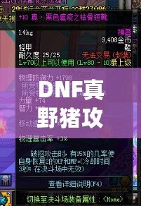 DNF真野豬攻略講解——輕松擊敗野豬王，帶你暢游地下城！