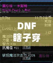 DNF瞎子穿什么甲？讓你秒變無(wú)敵的裝備選擇解析！