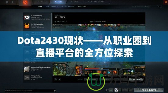 Dota2430現(xiàn)狀——從職業(yè)圈到直播平臺的全方位探索