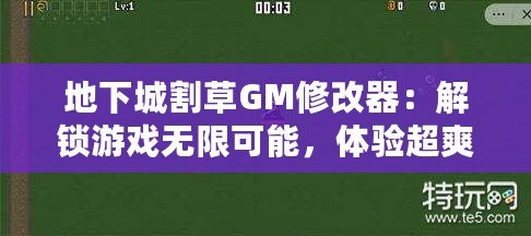 地下城割草GM修改器：解鎖游戲無(wú)限可能，體驗(yàn)超爽割草快感！