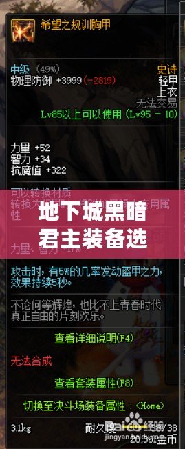 地下城黑暗君主裝備選擇全解析：打造最強戰(zhàn)力