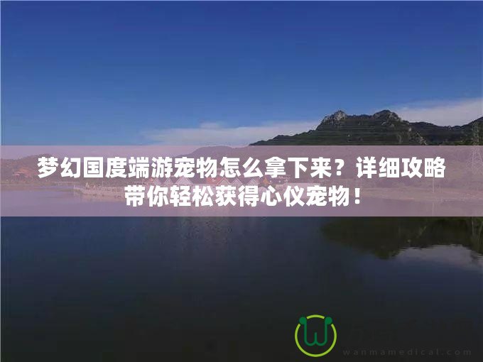 夢幻國度端游寵物怎么拿下來？詳細攻略帶你輕松獲得心儀寵物！