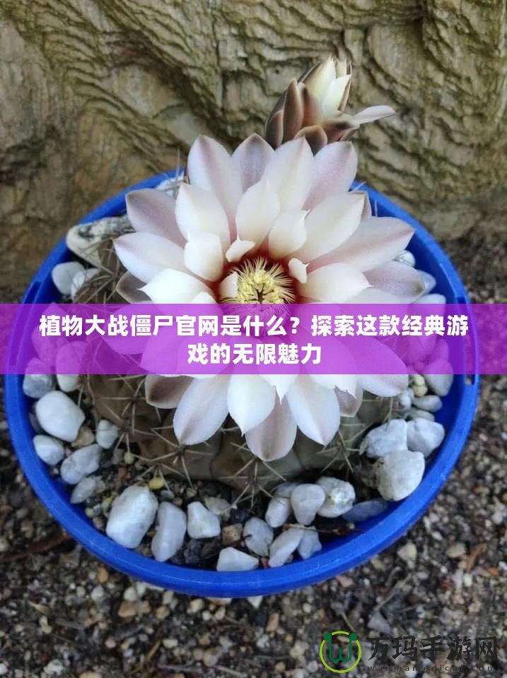 植物大戰(zhàn)僵尸官網(wǎng)是什么？探索這款經(jīng)典游戲的無限魅力