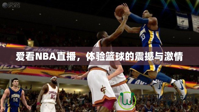 愛看NBA直播，體驗(yàn)籃球的震撼與激情