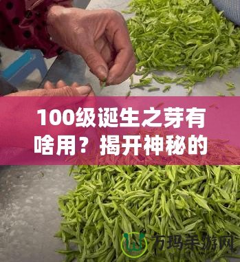 100級誕生之芽有啥用？揭開神秘的面紗，探索無限可能！