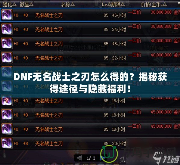 DNF無名戰(zhàn)士之刃怎么得的？揭秘獲得途徑與隱藏福利！