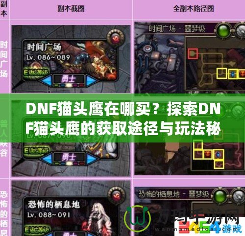 DNF貓頭鷹在哪買？探索DNF貓頭鷹的獲取途徑與玩法秘訣！