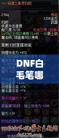 DNF白毛筆哪里爆？全面解析獲取途徑與策略