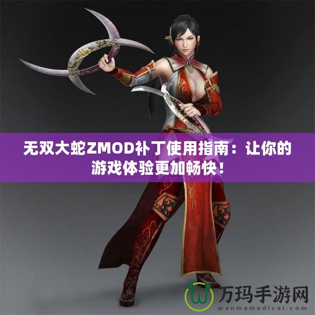 無雙大蛇ZMOD補(bǔ)丁使用指南：讓你的游戲體驗(yàn)更加暢快！