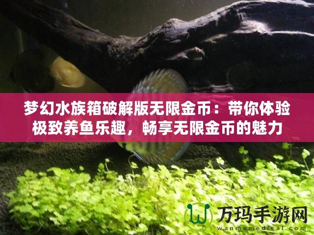 夢幻水族箱破解版無限金幣：帶你體驗極致養(yǎng)魚樂趣，暢享無限金幣的魅力