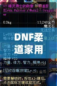 DNF柔道家用什么武器PK最強(qiáng)？掌握這些，你也能成為戰(zhàn)場(chǎng)王者！