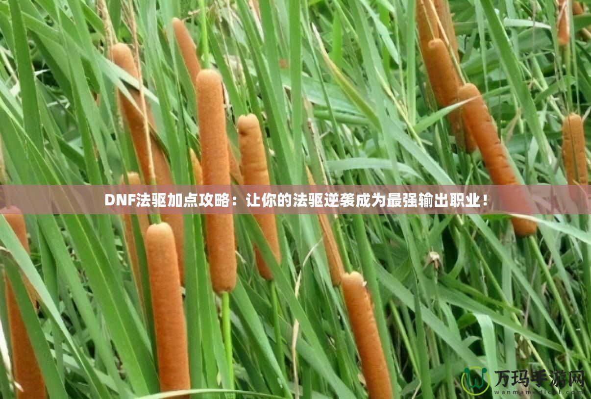 DNF法驅加點攻略：讓你的法驅逆襲成為最強輸出職業(yè)！