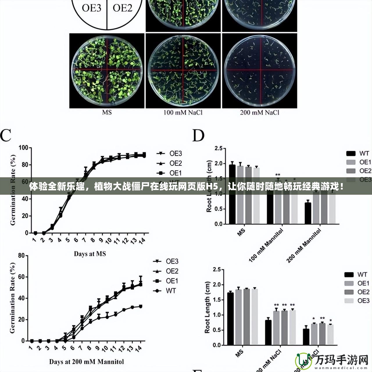 體驗(yàn)全新樂趣，植物大戰(zhàn)僵尸在線玩網(wǎng)頁(yè)版H5，讓你隨時(shí)隨地暢玩經(jīng)典游戲！