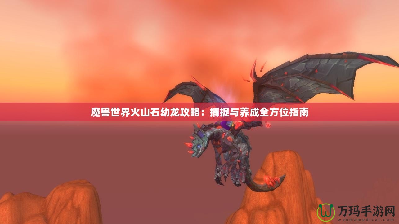 魔獸世界火山石幼龍攻略：捕捉與養(yǎng)成全方位指南