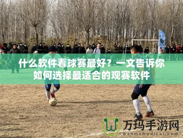 什么軟件看球賽最好？一文告訴你如何選擇最適合的觀賽軟件